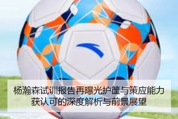 杨瀚森试训报告再曝光护筐与策应能力获认可的深度解析与前景展望